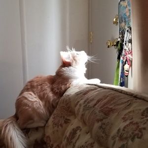 Meet your Posher, Jeffrey